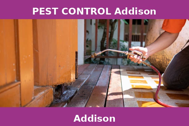 PEST CONTROL Addison